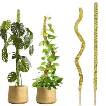 1PC hajlítható moharúd növényekhez Monstera kézzel készített vékony növényi karók beltéri növények számára Valódi moharúd növénymászás