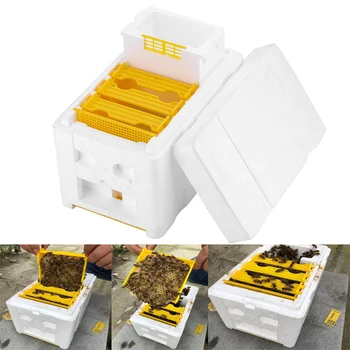 Méhkaptár méhészet King Box beporzó doboz hab keretek Méhészeti szerszámkészlet Betakarítás méhkaptár tok kerti beporzáshoz